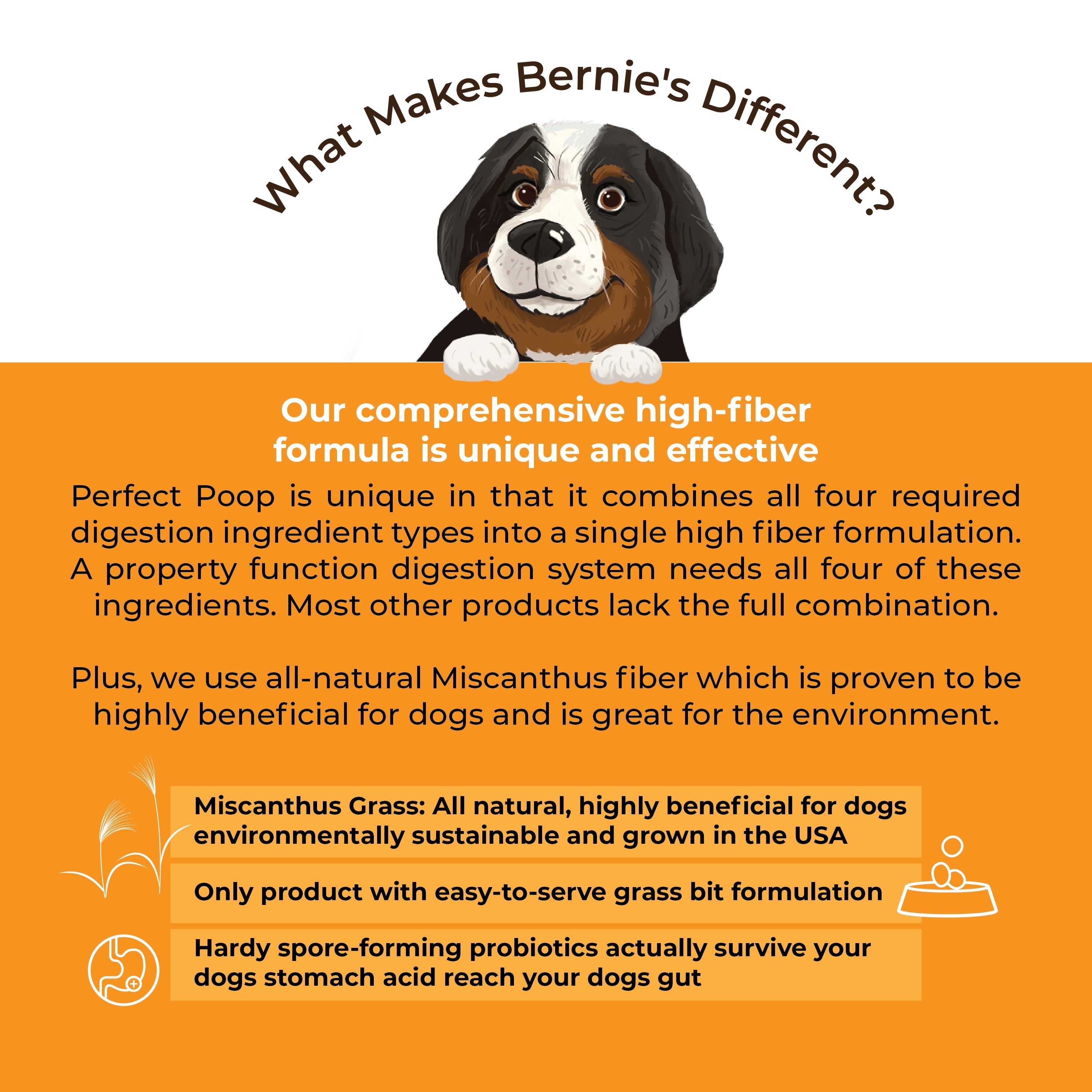 Bernie's Perfect Poop (4.2oz Cheddar) Ultimate Digestive Health Supplement for Dogs. 4-in-1 Formula: Prebiotics, Probiotics, Fiber & Enzymes. Improve Gas, Stool Quality, Breath, Health & Immunity